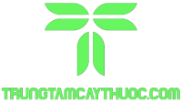 logo Trung Tâm Cây Thuốc