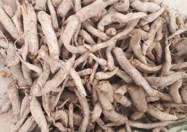 Củ gai an thai, dưỡng thai, điều trị động thai ở phụ nữ đang mang thai