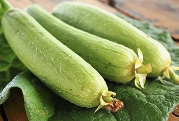 Những công dụng chữa bệnh quá tuyệt vời của quả mướp